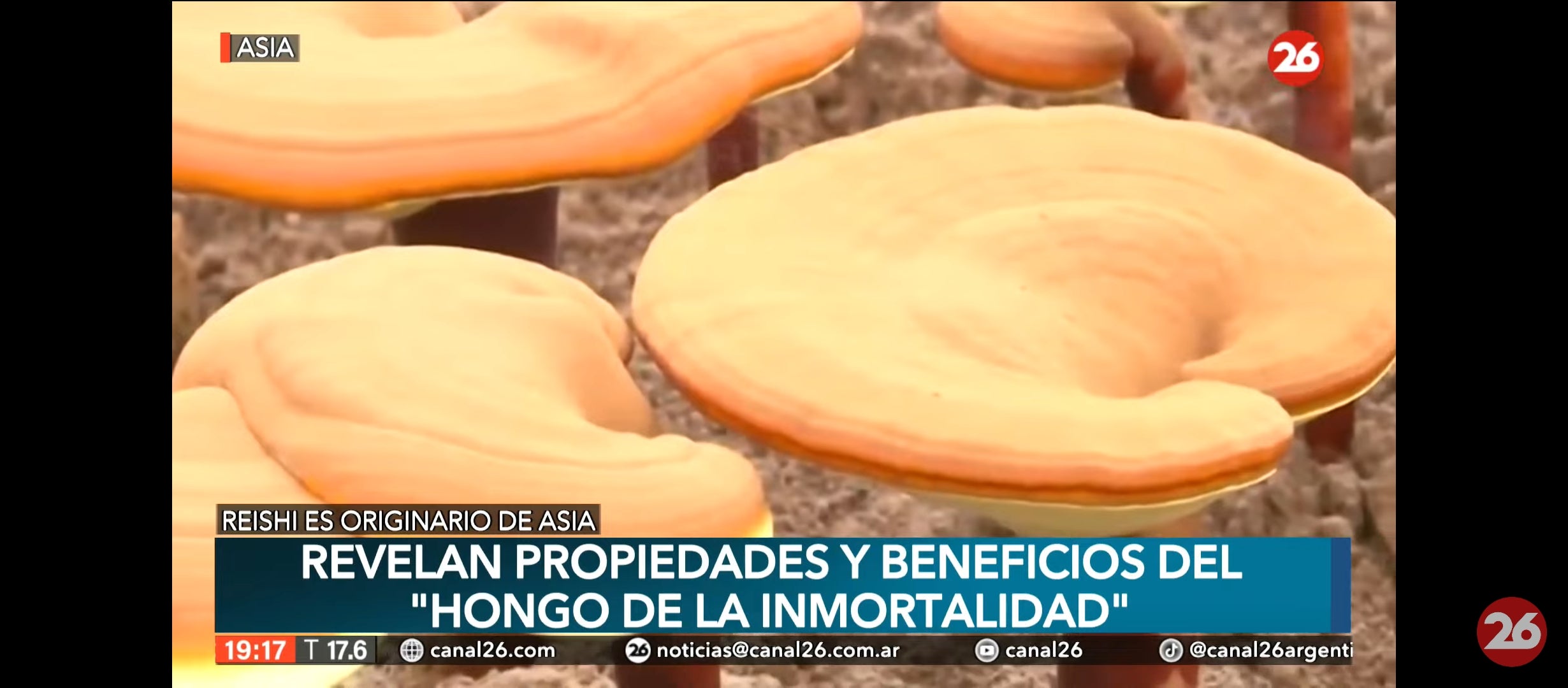 Cargar video: 